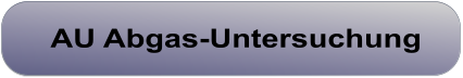 AU Abgas-Untersuchung